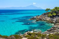 Best Beach In Halkidiki - 69806 species Best Beach In Halkidiki - 25572 species