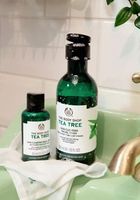 масла от чаено дърво - 63130 снимки