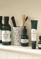 масла от чаено дърво - 65608 възможности