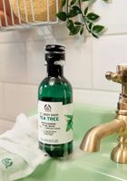 масла от чаено дърво - 65280 възможности