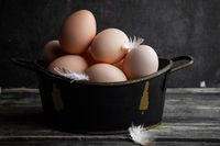 тенджери - 18690 промоции