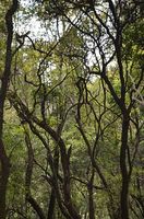 екскурзия Етиопия - 88033 бестселъри