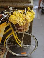 колела Cross - 32997 оферти