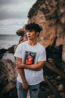 мъжки тениски - 21216 вида