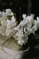 гравирания на стъкло - 31296 награди