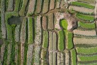 Seo консултации - 22733 типа