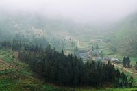 Земеделски новини - 69539 клиенти