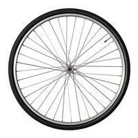 джанти 16 - 18716 вида