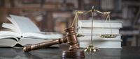 адвокат българско гражданство - 23556 селекции