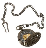 Pocket Watch - 17687 the species