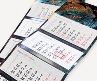 картонени кутии - 13102 вида