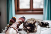 Lustige Socken - 76985 Gelegenheiten