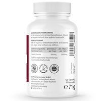 джинджифил - 33017 постижения