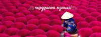 екскурзия Индия - 37710 клиенти | Nikona екскурзия Индия - 1139 клиенти