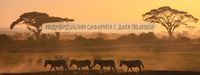 екскурзия Камбоджа - 50958 награди
