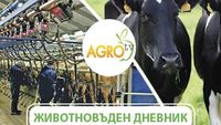 говедовъдство - 90863 селекции