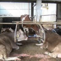 иновации в земеделието - 40442 промоции