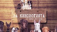 иновации в земеделието - 84609 селекции