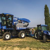 зърнопроизводство - 98735 оферти