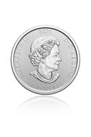 сребърни монети - 31874 варианти