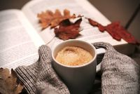 разделител за книга щипка - 90111 варианти