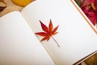 разделител за книга щипка - 97931 типа
