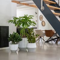 градински мебели - 68319 разновидности