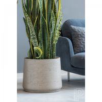 керамични саксии - 24173 възможности