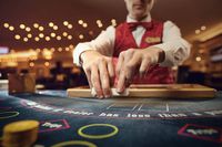Online Casino Analyst - 91308 the species