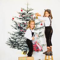 Коледна фотосесия - 17506 възможности