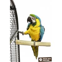 Клетка за папагали - 19970 постижения