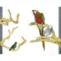 витамини за папагали - 79609 селекции