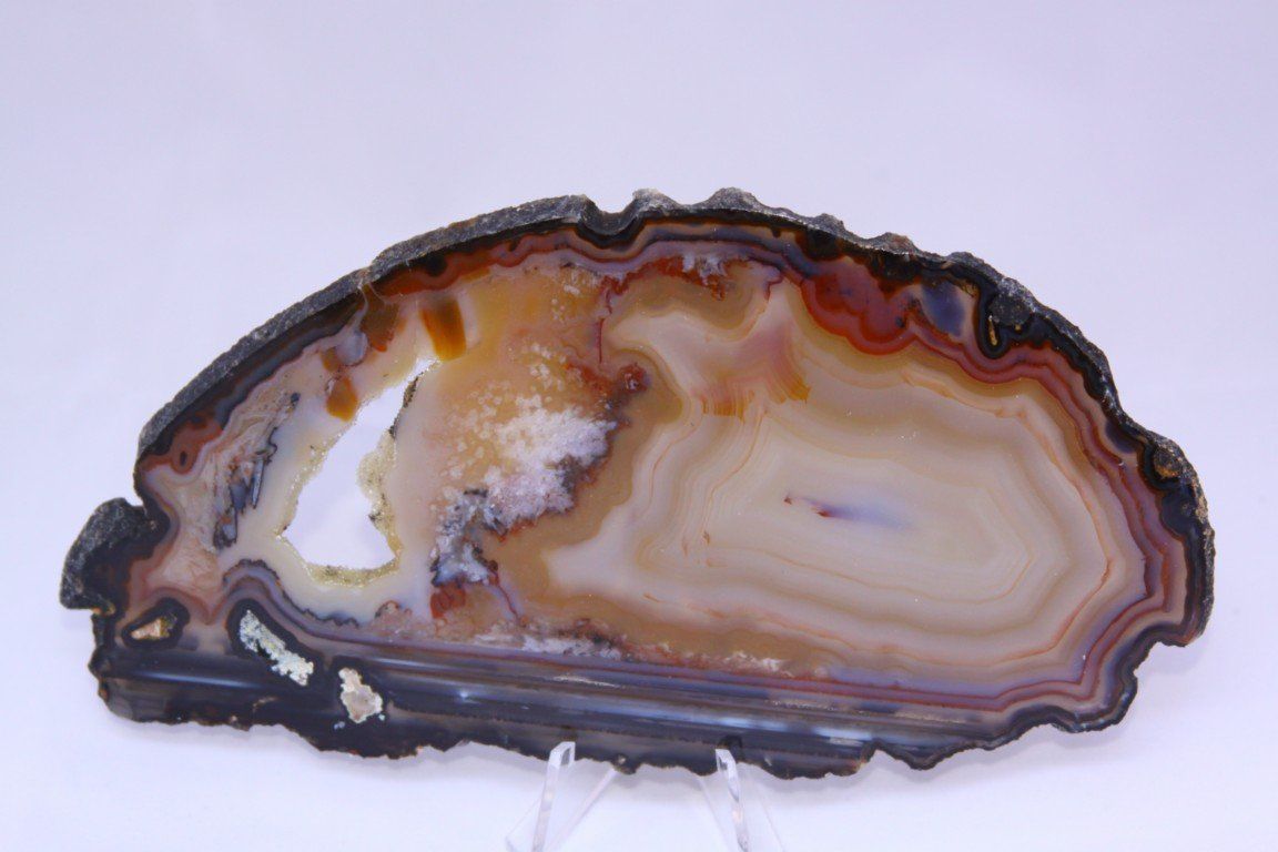 ахат - 55775 селекции