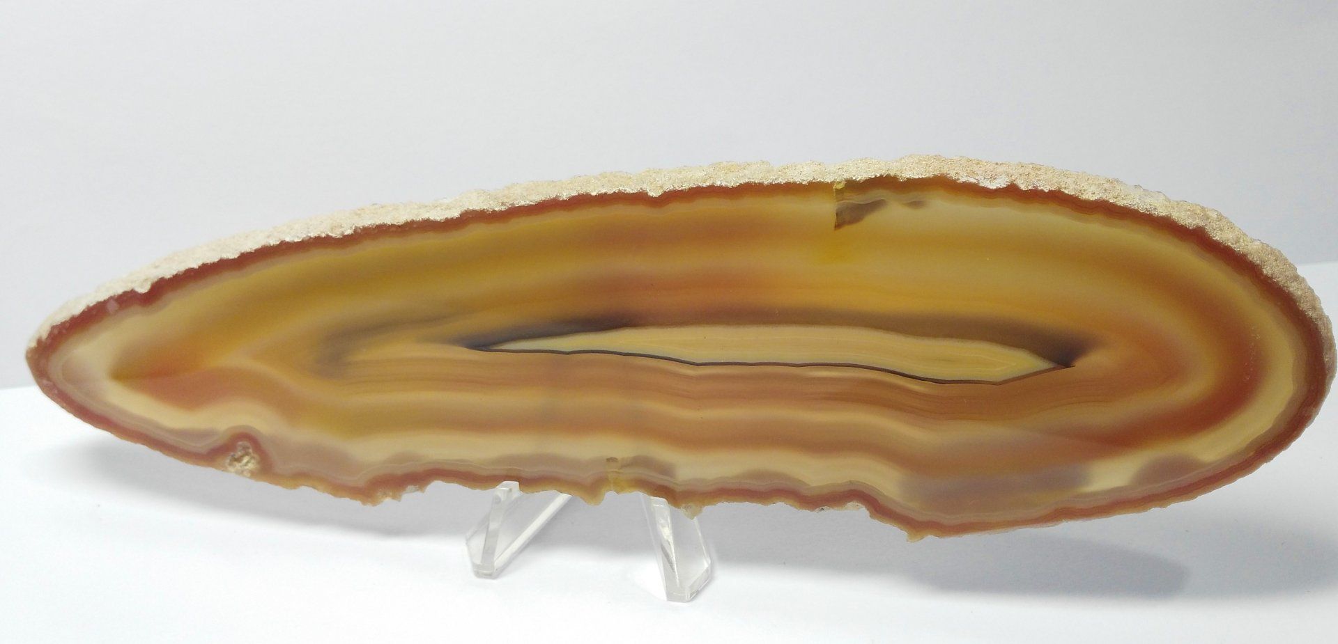 ахат - 36583 вида