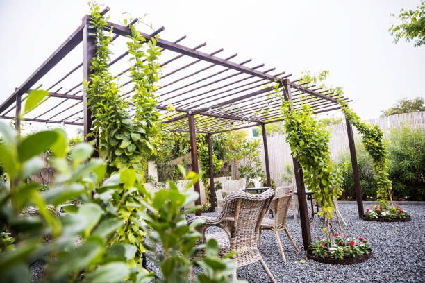 Перголи - 13811 снимки