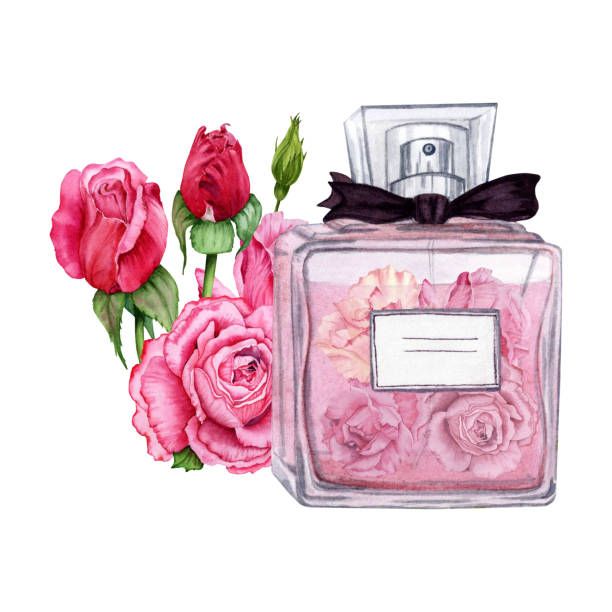 Afnan - 68072 оферти