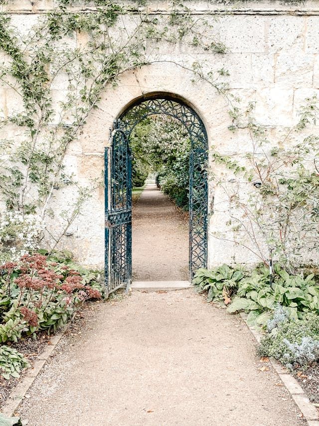 дворни врати - 66494 снимки