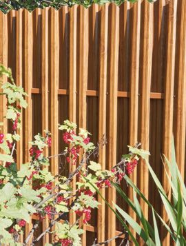 профили за ограда - 55803 постижения