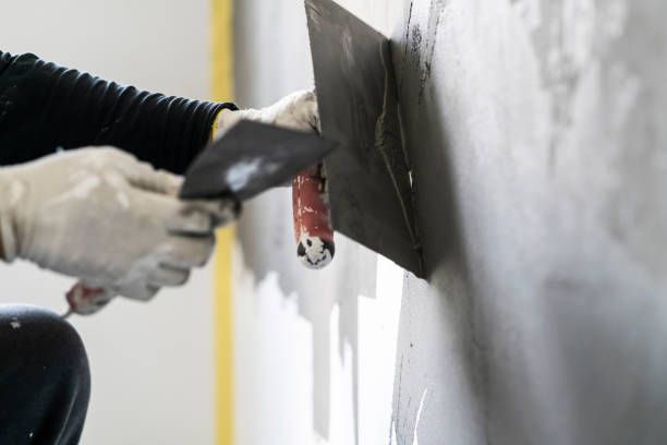 шпакловка - 13495 възможности