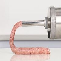 пълначка за месо - 11393 постижения пълначка за месо - 8446 постижения