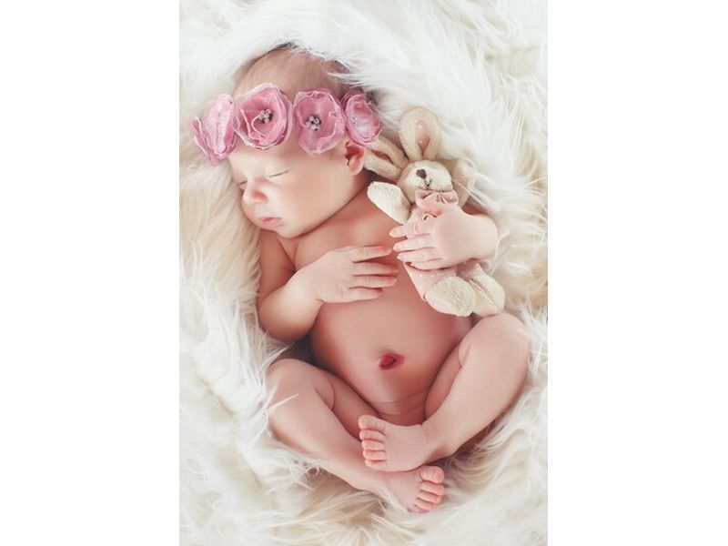 За и против съхранението на стволови клетки - 7688 вида