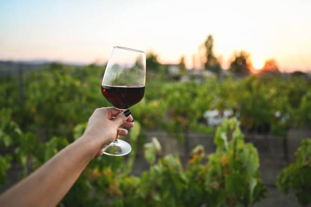 вино каберне - 45110 предложения