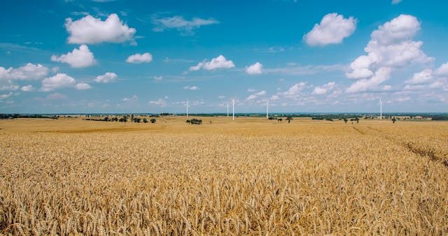 фермерство - 33854 вида | agrovest.bg фермерство - 28220 вида