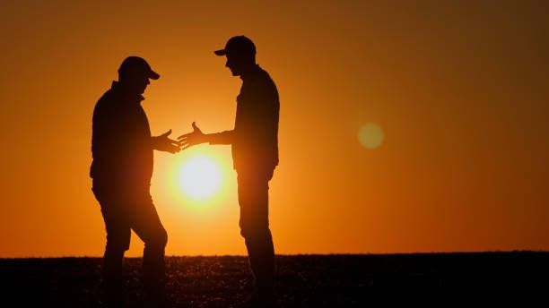 БАБХ - 86785 предложения