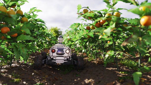 ССА - 79636 новини | agrovest.bg ССА - 69970 новини