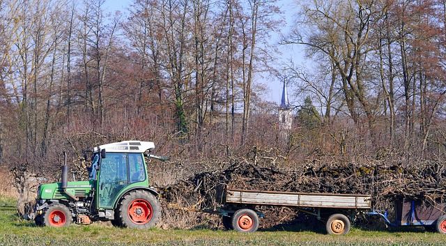 субсидии - 48373 клиенти | agrovest.bg субсидии - 9882 клиенти