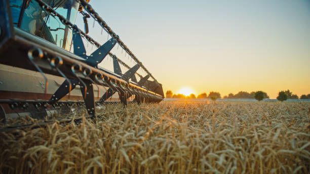 земеделие - 40551 бестселъри