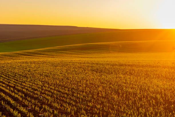 земеделие - 28405 отстъпки